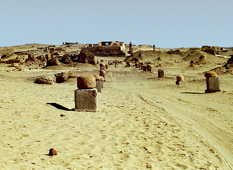 View towards the South Temple at Karanis